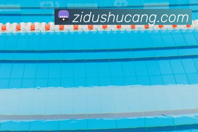 星空体育体育登录入口服务体系